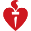 heartfoundation.org.nz