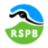rspb.org.uk